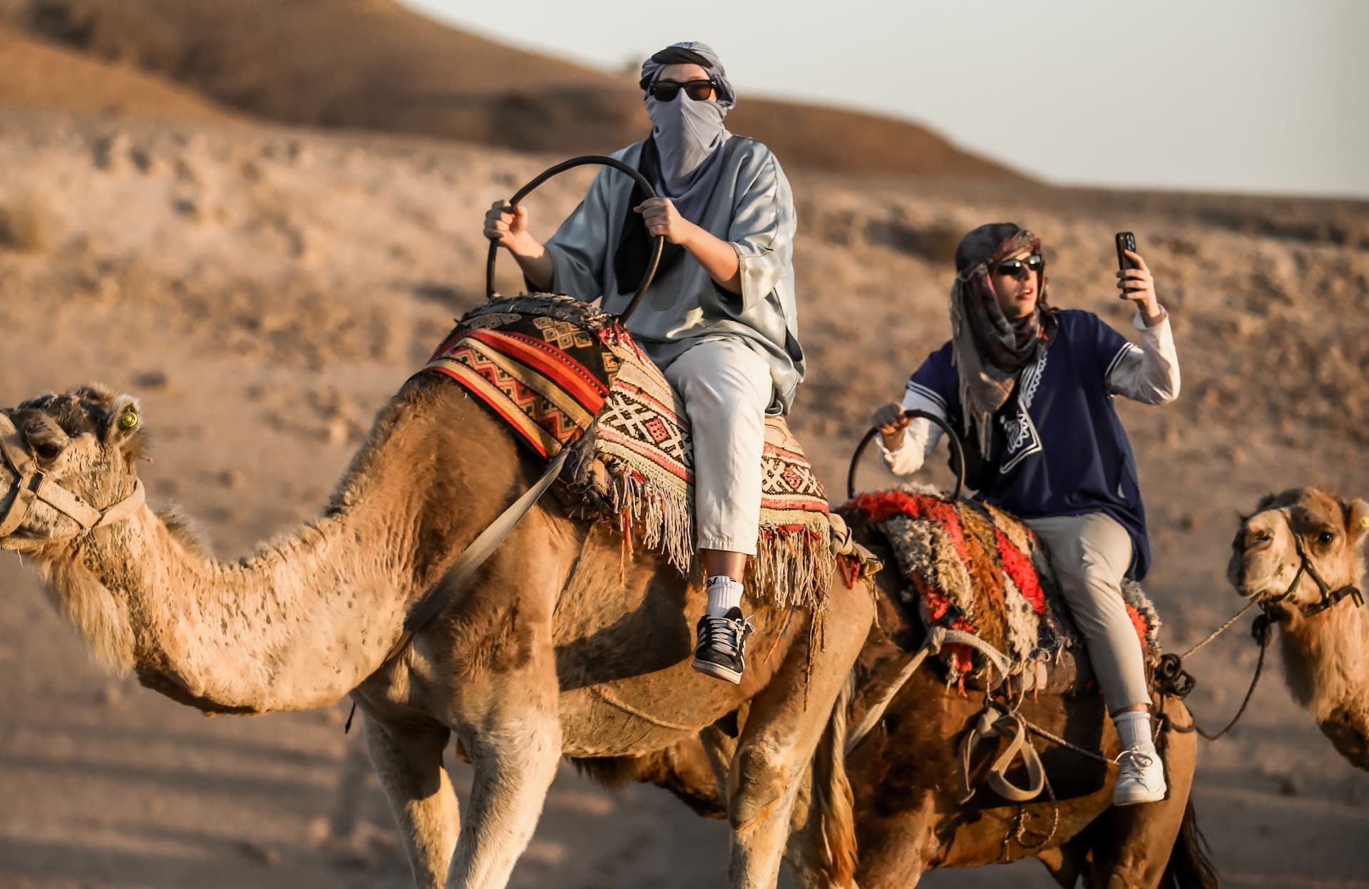 Camel Ride Marrakech Palm Grove | Short Premium Tour