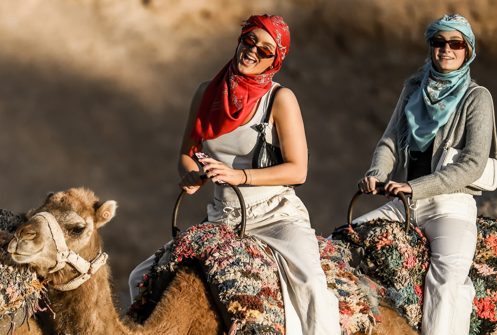 Book 1Hour Camel Ride in Marrakech Palm Grove | Premium Tour