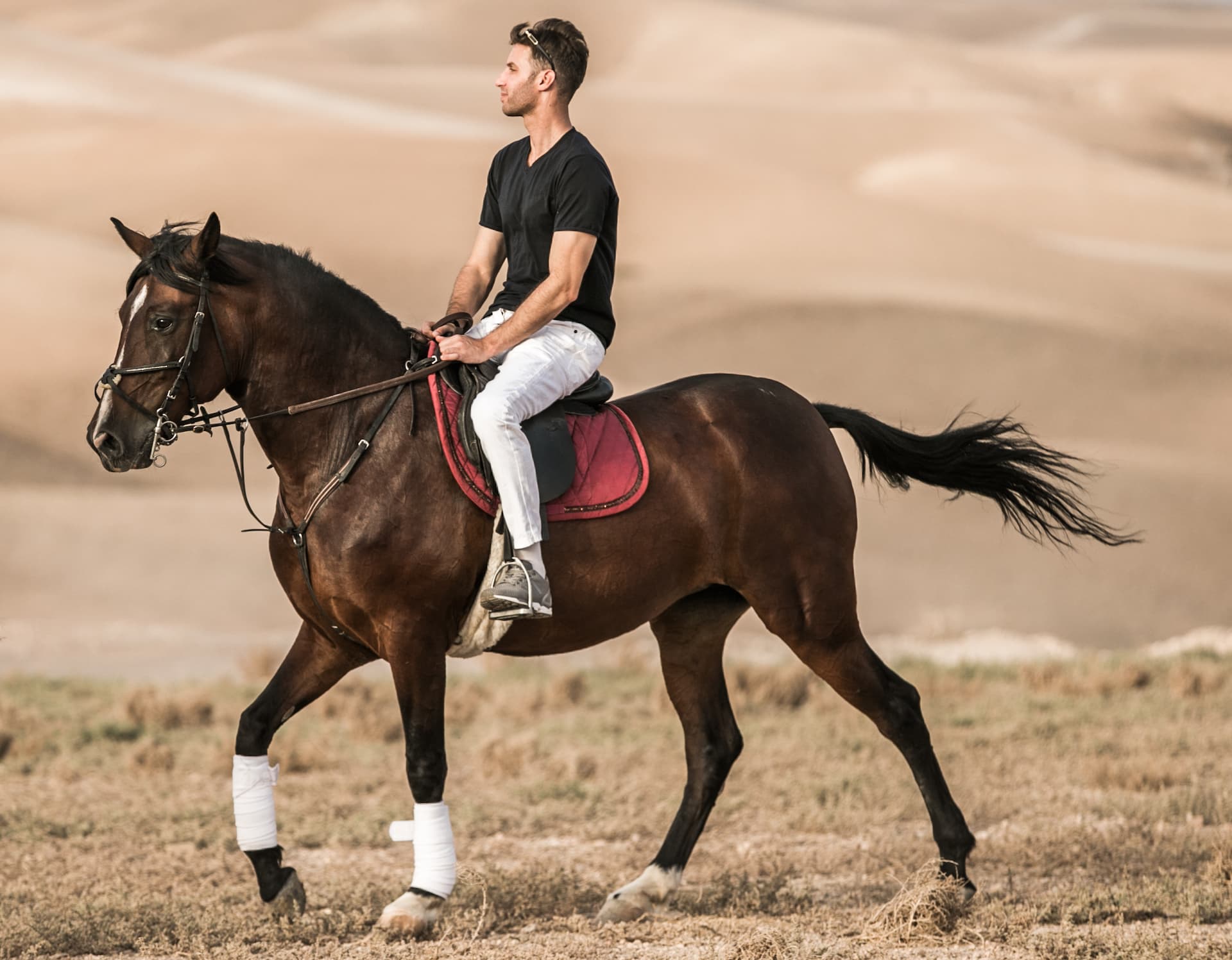 Explore Agafay Desert on Horseback | 3-Hour Ride from Marrakech