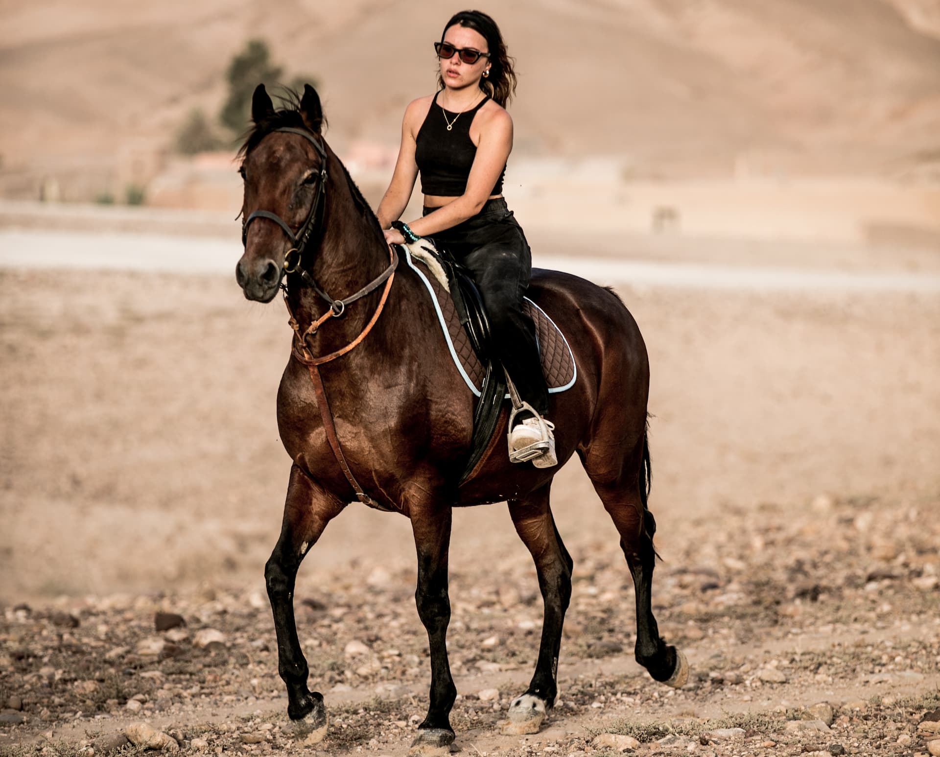 Explore Agafay Desert on Horseback | 1.5-Hour Ride from Marrakech